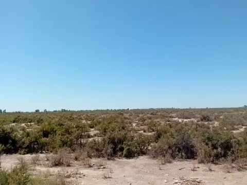 SE  VENDE  58 HECTARIAS EN PARAMILLO LAVALLE