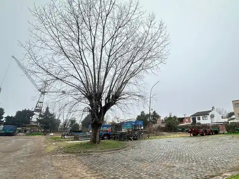 Terreno en Alquiler 108  mts Fondo