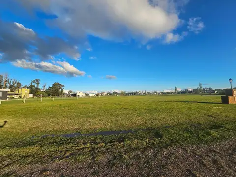 Lote 236. Barrio San Roque, Comarcas de Luján.