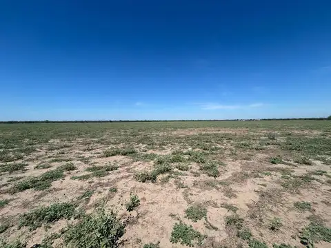 CAMPO EN VENT 54 HA A 100 MTS DE RUTA 34 POZO HOND