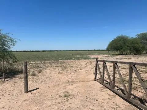 CAMPO EN VENT 54 HA A 100 MTS DE RUTA 34 POZO HOND