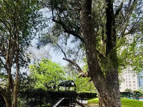 Departamento en Alquiler 24 años