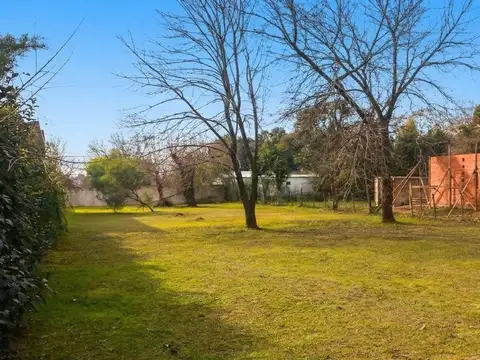 Patricias Mendocinas al 20
