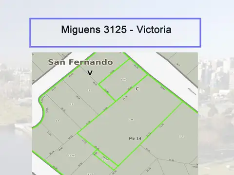 Miguens  al 3100