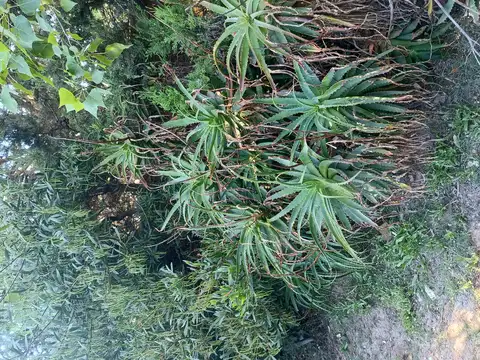 Casa en Venta al Sureste