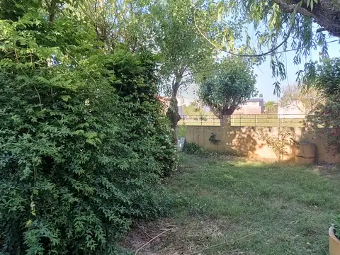 Avenida Tercera 4300, Piso Ave