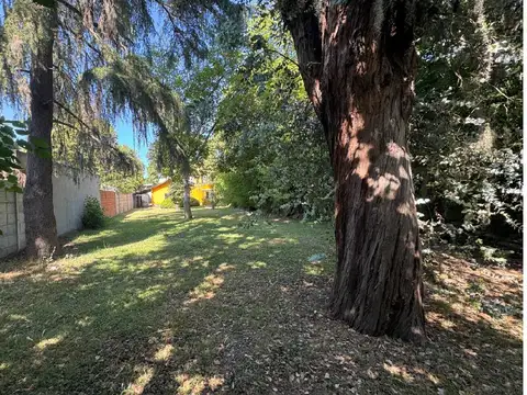 Santa Ana 400