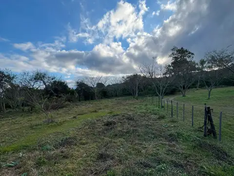 Los Gauchos 1100