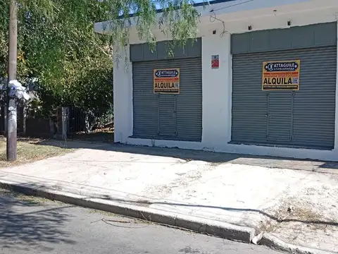 LOS PLATANOS 300