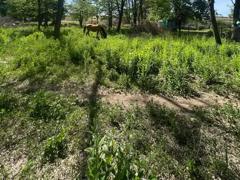 Terreno en Venta en Santa Rosa De Calamuchita, USD 36.500