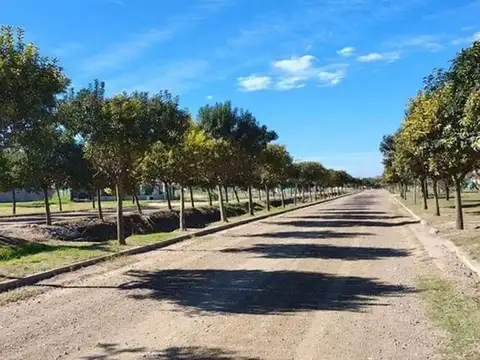 Terreno en Venta en Colonia Tirolesa, USD 10.000