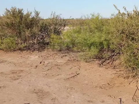 Terreno en Venta en La Asunción, USD 5.800