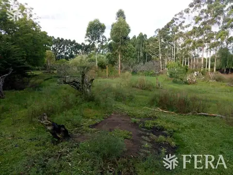 TERRENO COSTA SARANDI