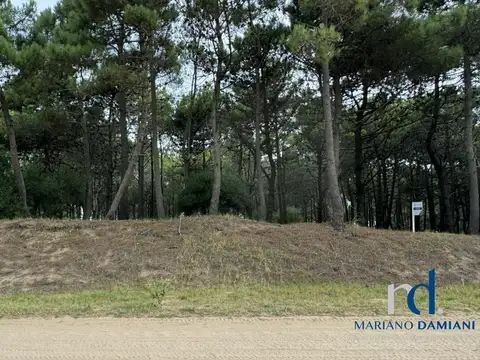 Lote en Venta en Pinamar Zona Norte Playa