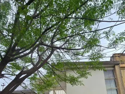Amplia propiedad ubicada en microcentro de Resistencia