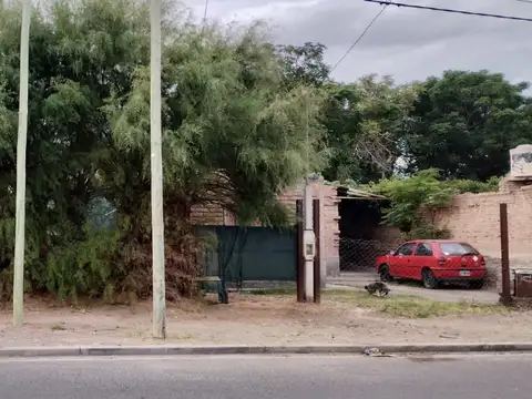 Ceferino 1200
