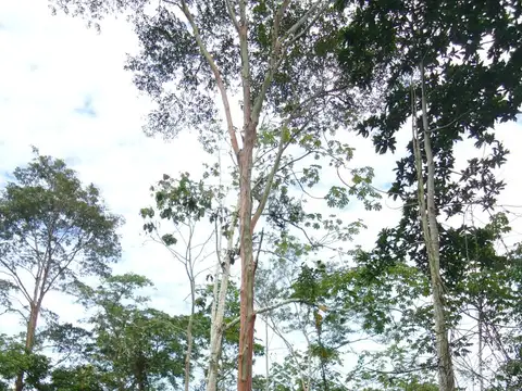TERRENO    Copropietaria vende 38 hectáreas con 9.778 m2.  