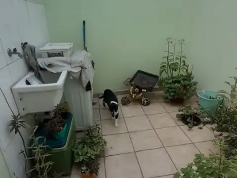 Departamento de 1 ambiente al frente con patio sin expensas