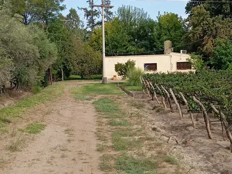 Ruta 61 y Groenzinger 100