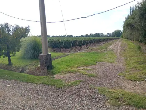 Ruta 61 y Groenzinger 100