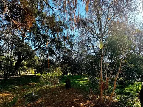 Terreno en Venta de 370,0 m2