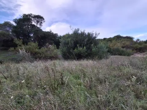 Terreno en Venta de 902,0 m2