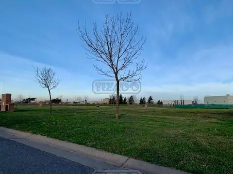 Area 9 Nuestra Señora de la Paz