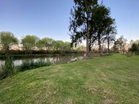 Parana De Las Palmas
