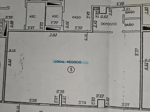 Olga Cossettini  al 1100