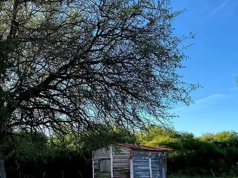 Zona rural La Gallareta