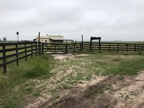 Campo en Venta con Alambrado