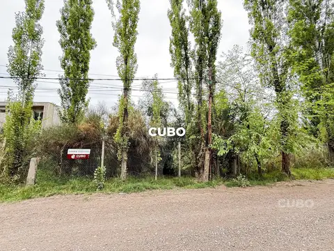 Los Aromos al 1263 Chacras de Coria Lujan de Cuyo Mendoza