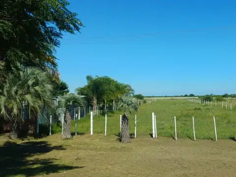 TERRENO EN VENTA, SOBRE RUTA 27, GOYA CORRIENTES