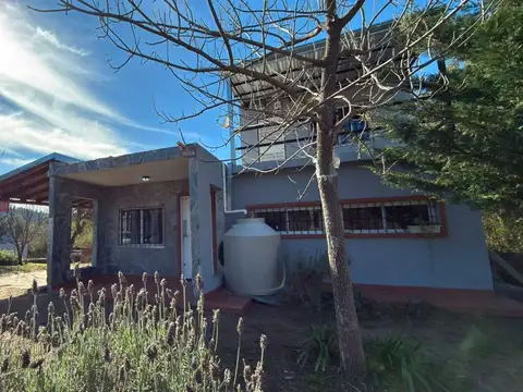 Carlos Guastavino 300