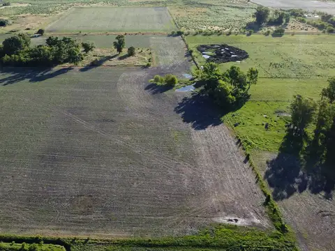 20 ha agricolas en Roque Perez