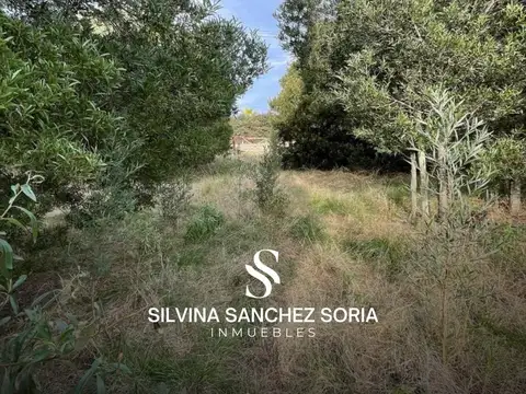 2 CHACRAS EN VENTA, BARRIO CERRADO LAS VIZCACHAS, LOS CARDALES