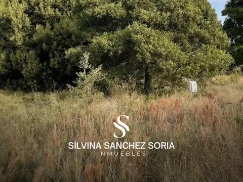 2 CHACRAS EN VENTA, BARRIO CERRADO LAS VIZCACHAS, LOS CARDALES