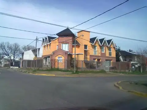 Pellegrini 100