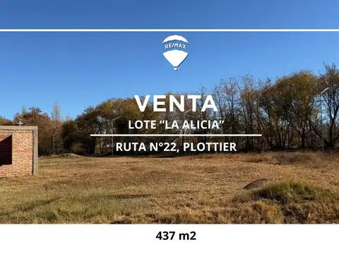 VENTA LOTE LA ALICIA PLOTTIER