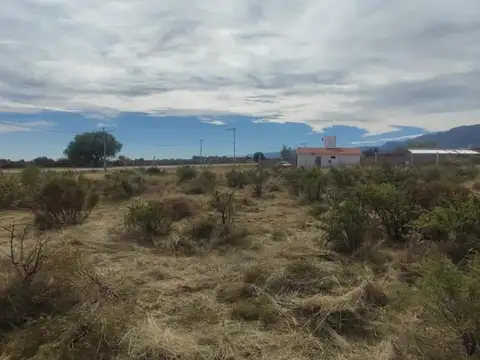 Lote de 1.000mts2 en Papagayos SL