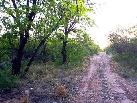 Terreno en Venta 35  mts Frente