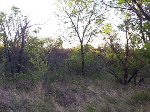 Terreno en Venta 55  mts Fondo