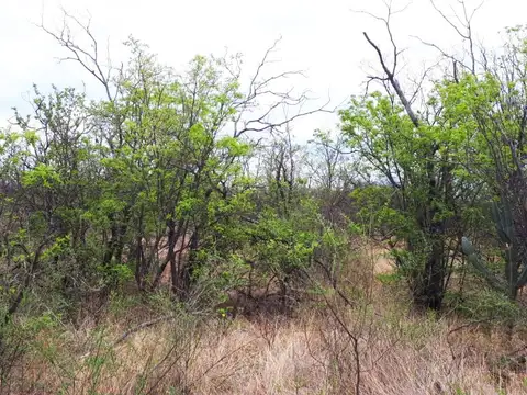 02714 - Las Gramillas