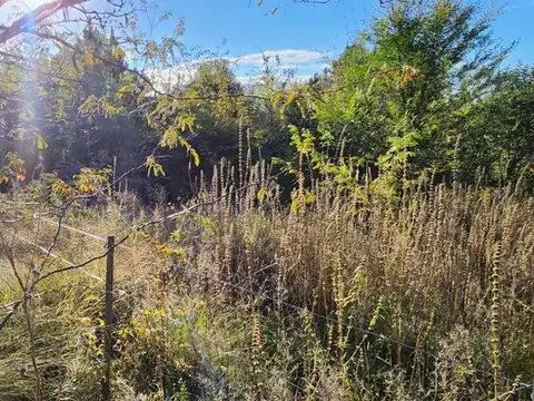 VENTA DE TERRENO 454M2 EN YACANTO CENTRO ESCRITURA