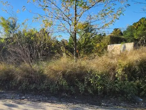 Los Cedros s/n, Lote 16, Villa Yacanto, cordoba 1100