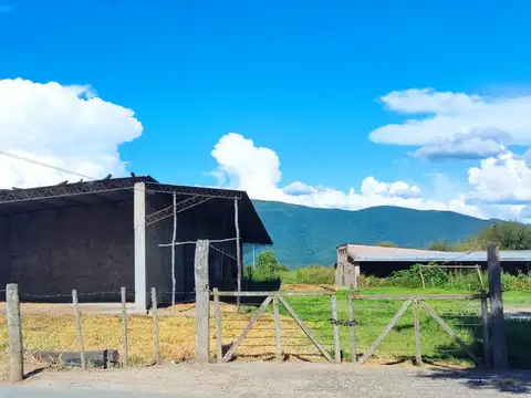 Campo en Venta de 60  ha