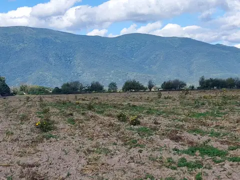FINCA Camino a San Agustín