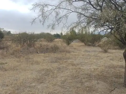 Terreno en Venta en Cafayate, USD 35.000