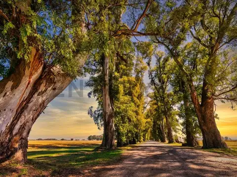 Terreno en Venta de 1233,0 m2