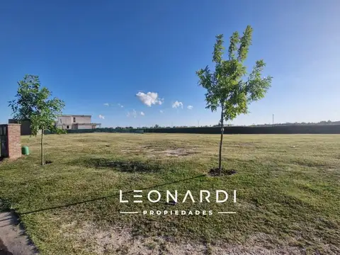 El Naudir, Lote 269